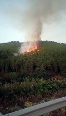 Incendio forestal en Villanueva del Conde (Salamanca)