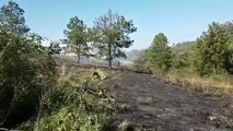 Bombeiros combatem incêndio em grande área de vegetação no Esmeralda