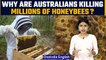 Australia is killing millions of honeybees | Know all about varroa mites | Oneindia News*Explainer