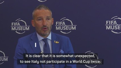 'Mancini is doing an excellent job' for Italy - Zambrotta