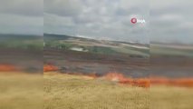 Arnavutköy'de buğday tarlasında bilinmeyen bir nedenle yangın çıktı