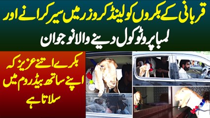 Qurbani Ke Bakron Ko Land Cruiser Me Sair Karne Or Lamba Protocol Dene Wala Naujawan