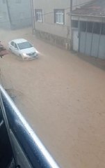 BURSA'DA SAĞANAK VE FIRTINA; AĞAÇLAR DEVRİLDİ, CADDE VE SOKAKLAR SUYLA DOLDU