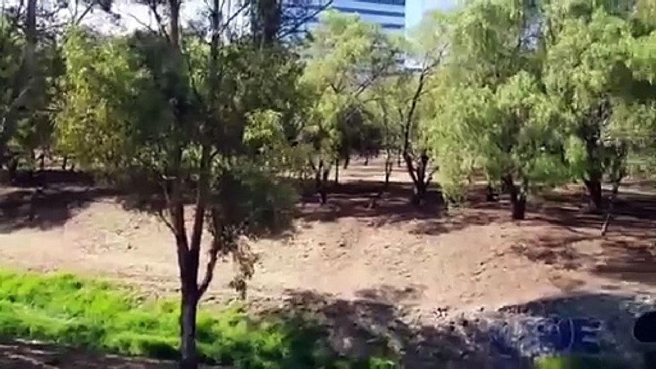 Sale del camino y vuelca en la 57