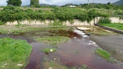 KURBANLIKLARIN KANI DERELERE AKTI, SUYUN RENGİ KIRMIZIYA DÖNDÜ