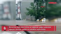 Bursa'yı sağanak vurdu! Ağaçlar devrildi, cadde ve sokaklar suyla doldu