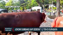 Sapi Jokowi Seberat 1,2 Ton Tiba di Surabaya Hingga TNI AL Berikan Hewan Kurban ke Kompas Gramedia!
