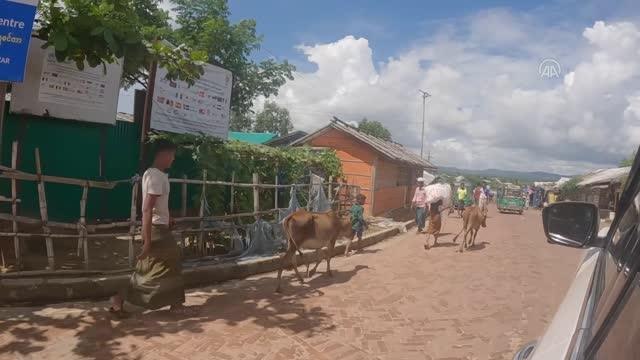 TDV, 1400 hisse kurban etini Bangladeş'teki Arakanlı mültecilere dağıtacak