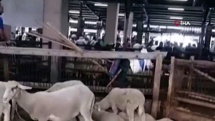 Kurban pazarı savaş alanına döndü