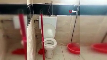 Yüzünü yıkamak istedi, banyosunda yılanla karşılaştı