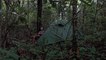 Solo Camping || Auto goosebumps..!!!, Enter the forest at night