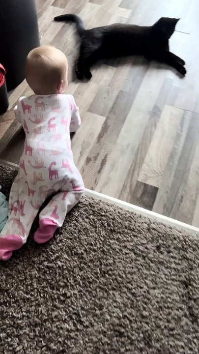 Baby and Kitty Talk