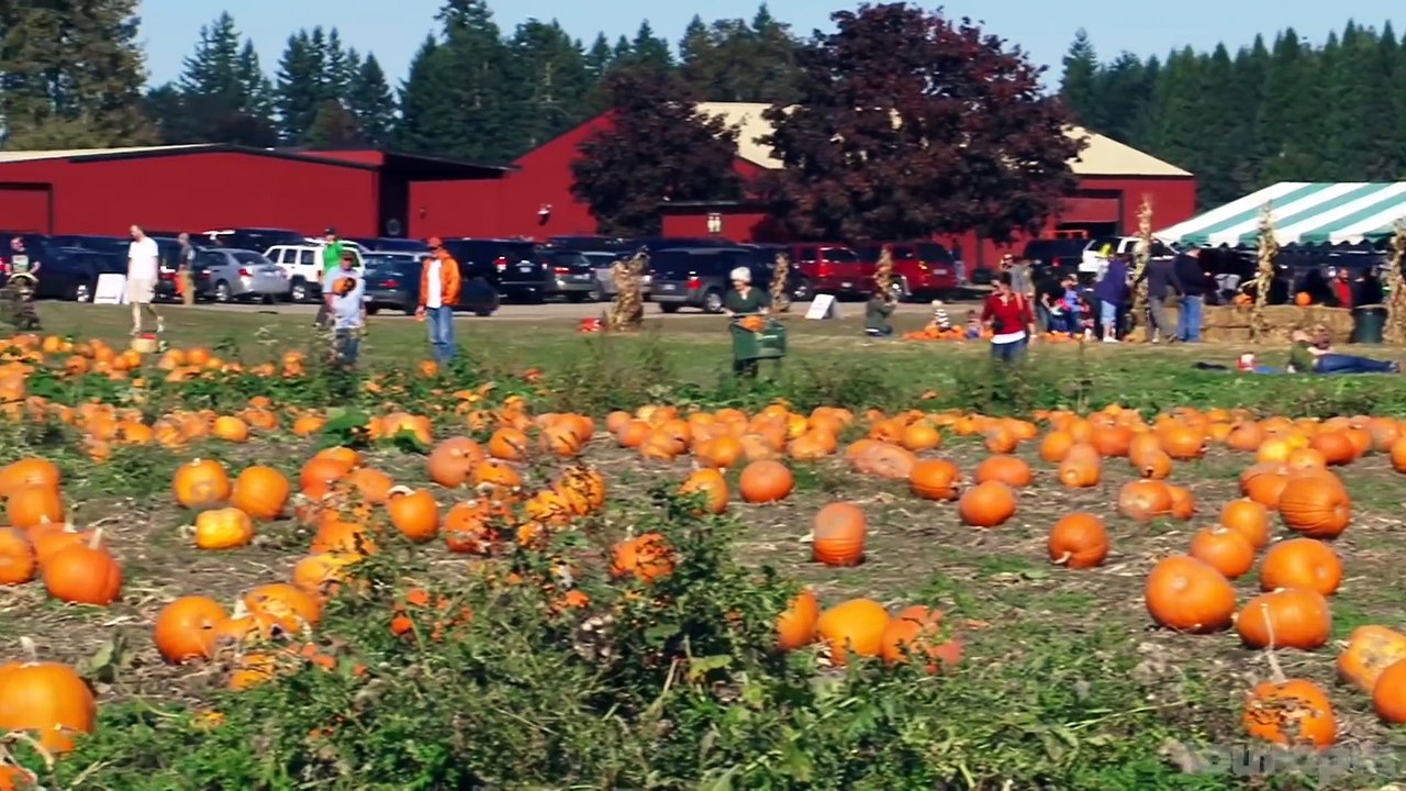 10 Best Places to Visit in Oregon - Travel Video(1080P_HD)