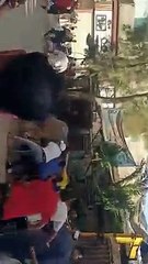 "عجل" يقتحم كافيه بمدينة بيلا ويحطم محتوياته فى أول أيام العيد