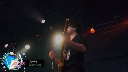 Saucy Dog グッバイ METROCK 2022