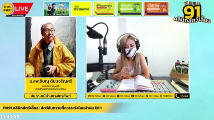 สัตว์อันตรายที่ควรระวังในหน้าฝน EP.1 : FM91 คลินิกสัตว์เลี้ยง : 9 กรกฎาคม 2565