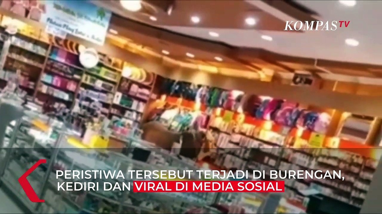 Viral Sapi Kurban Lepas Masuk ke Dalam Toko Buku di Kediri, Pegawai Panik Berhamburan