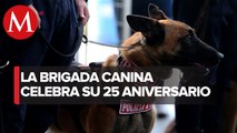 Grupo Especial Canino de la PBI cumple 25 años: 