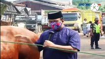 Iduladha 1443 Hijriah, Anies Baswedan Sumbangkan Empat Sapi Kurban
