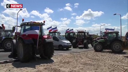Pays-Bas : les agriculteurs manifestent contre un projet de réduction des émissions d'azote