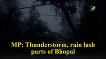 Madhya Pradesh: Thunderstorms, rain lash parts of Bhopal