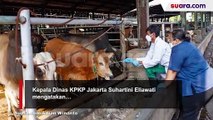 Pemprov DKI Jakarta Terima 58.010 Ekor Hewan Kurban saat Idul Adha