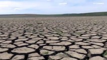 La sete del Delta moldavo: la siccità minaccia la sopravvivenza dell'area protetta