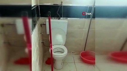 Tuvaletteki davetsiz misafir şoke etti: ''Öldürmeye kıyamadım''