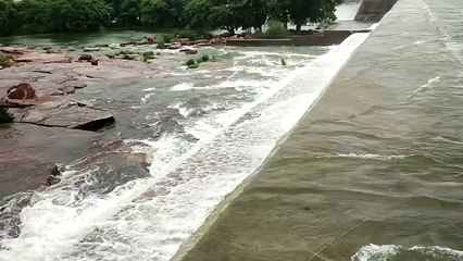 Скачать видео: Video हाड़ौती का गोवा बरधा बांध पर चली चादर, जुटने लगी सैलानी