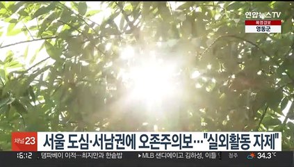 서울 도심·서남권에 오존주의보…"실외활동 자제"