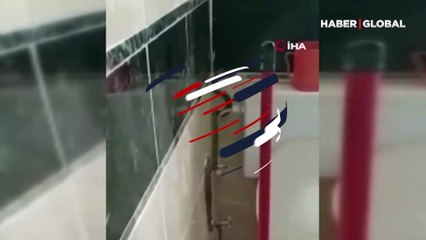 Banyoda gördüğü manzara şoke etti: Öldürmeye kıyamadım