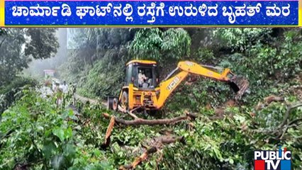 ಚಾರ್ಮಾಡಿ ಘಾಟ್‍ನಲ್ಲಿ ರಸ್ತೆಗೆ ಉರುಳಿ ಬಿದ್ದ ಬೃಹತ್ ಮರ; 1 ಕಿ.ಮೀ.ಗೂ ಹೆಚ್ಚು ಟ್ರಾಫಿಕ್ ಜಾಮ್ | Charmadi Ghat