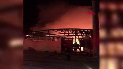 Son dakika haberi! MUĞLA'DA KAFETERYADA ÇIKAN YANGIN KORKUTTU