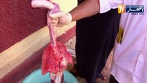 الشلف: تسخير أكثر من 100 طبيب بيطري لمراقبة نوعية اللحوم خلال عيد الأضحى