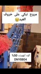 مروج الرحيلي تبكي بسبب خروف العيد وتعتذر له