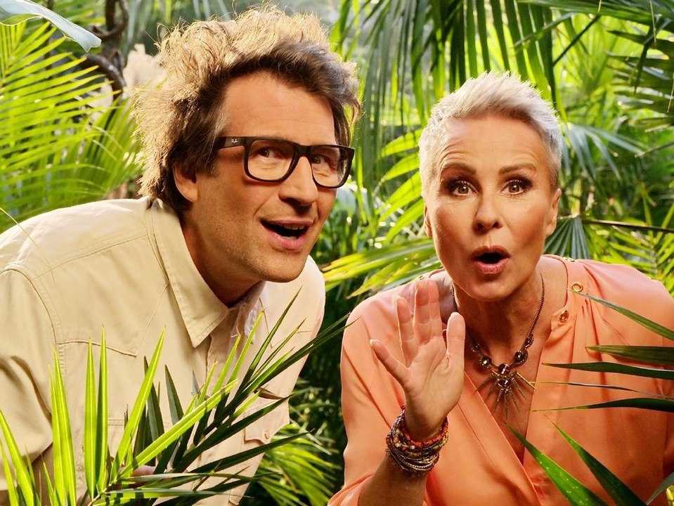 Nach daniel hartwich: er ist der neue moderator des dschungelcamps