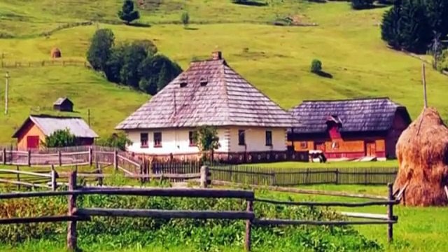 Puiu Nastase- ciobanas cu 300 de oi