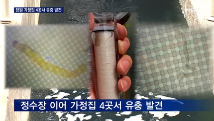 창원 수돗물 4곳서도 유충 발견…늦장 대응에 주민 '발끈'