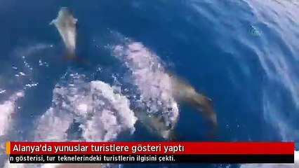 Alanya'da yunuslar turistlere gösteri yaptı