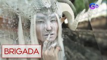 ‘Lights, camera, brush on!’: makeup vloggers, kilalanin! | Brigada