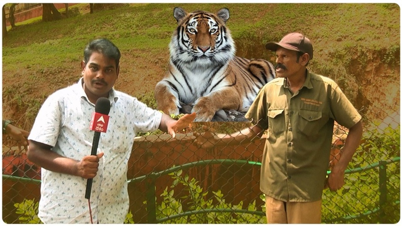 Bengal Tiger Keeper @ Vizag Zoo Interview: పెద్దపులి ఆహారం, అలవాట్లు, దినచర్య ఎలా ఉంటాయి?| ABP Desam