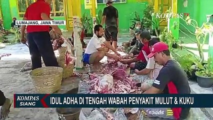 Video herunterladen: Wabah PMK di Tengah Idul Adha, Pemkab Lumajang Meminta Warga Masak Daging Kurban Sampai Matang!