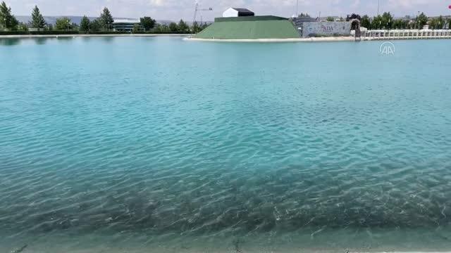 Gölette boğulma tehlikesi geçiren iki kardeşi güvenlik görevlisi kurtardı