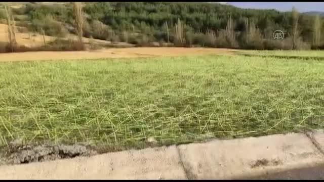 Sağanak ve dolu tarım arazilerine zarar verdi