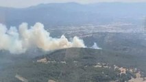 Bodrum'da orman ve makilik yangını