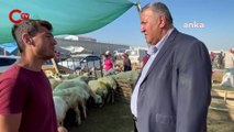 CHP’lİ Ömer Fethi Gürer: 'Bayramda dahi hayvancılık yapanların yüzü gülmüyor'