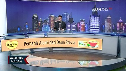 Tak Dengar Bunyi Klakson Bus Transjakarta, Seorang Pesepeda Tewas Terserempet!