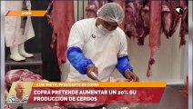 Cofra pretende aumentar un 20% su producción de cerdos