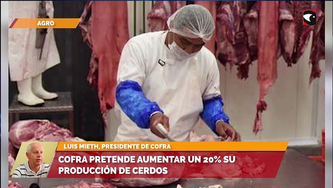 Cofra pretende aumentar un 20% su producción de cerdos