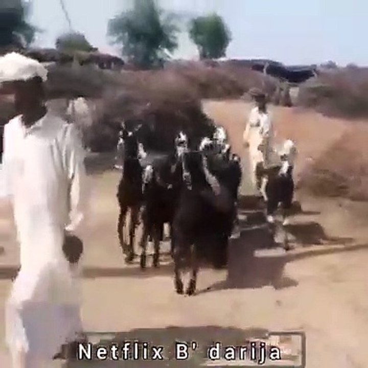 Dance